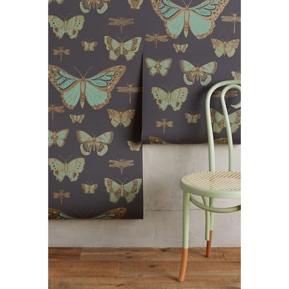 Cole & Son Lepidoptera Wallpaper Butterflies & Dragonflies Anthropologie 1 ROLL